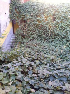 topia