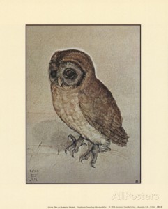 albrecht-duerer-piccolo-gufo